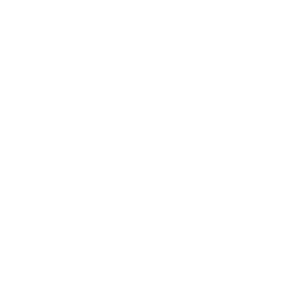 Globe icon white